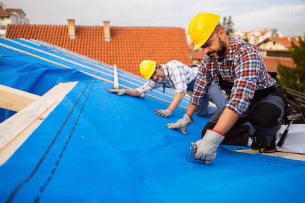 Best Roof Gutter Cleaning  in Gibsonton, FL